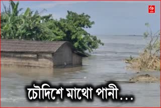 ASSAM FLOOD 2024