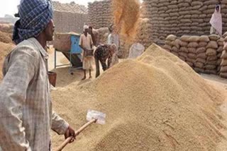 EMBEZZLEMENT IN PADDY PROCUREMENT ramanujganj