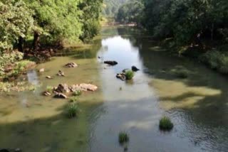 Mahadayi River