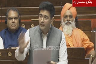 Raghav Chadha in Rajya Sabha