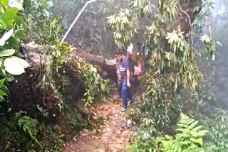 Landslide in  Darjeeling