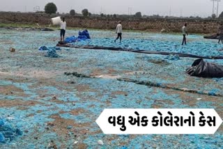 રાજકોટમાં એક બાળકનો કોલેરાનો કેસ નોંધાયો