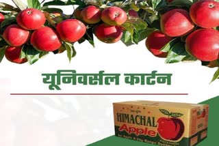 Himachal Apple Season