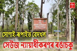 NGT Order to Forest Department