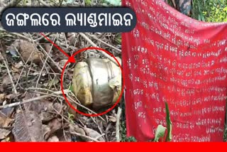 Landmines In Kadamguda