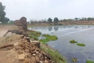 FISHES DIED IN POND OF BALAGHAT