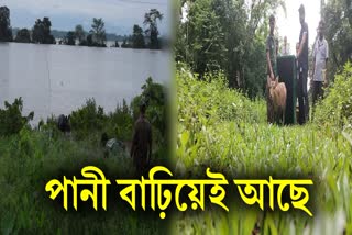 FLOOD SITUATION IN KAZIRANGA