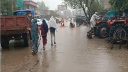 monsoon rain in dholpur