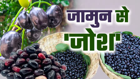 JAMUN GOOD FOR HEALTH