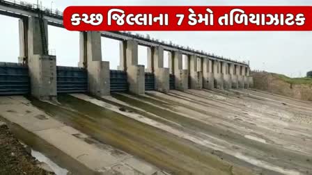 7 મધ્યમ સિંચાઈ ડેમ તળિયાઝાટક