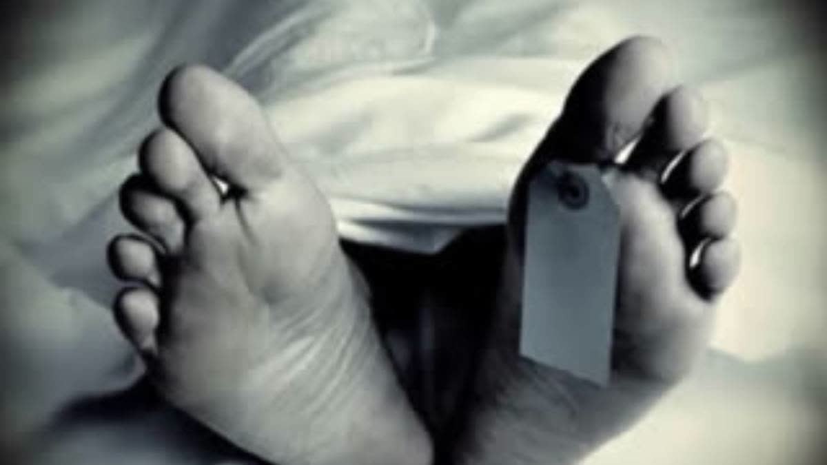 ETV Bharat News - Other - News Image