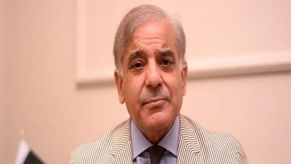 Shahbaz Sharif news