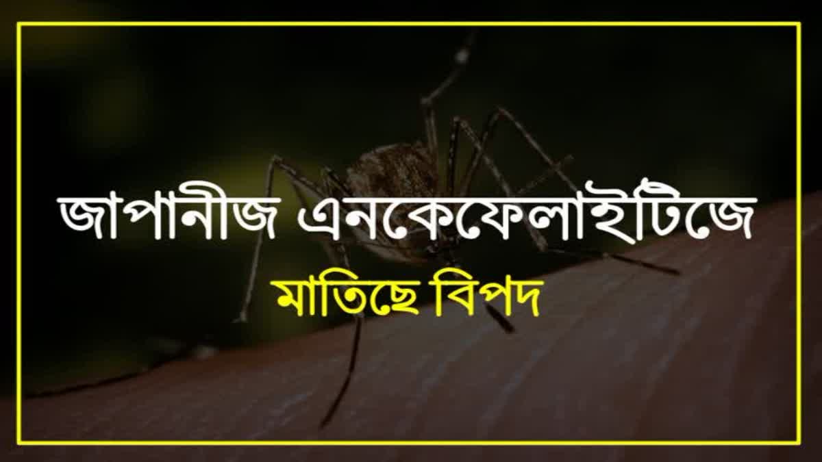 Japanese Encephalitis outbreak at Gohpur