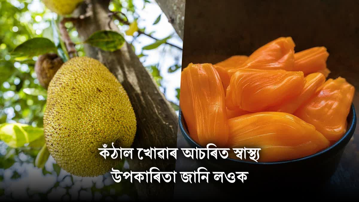 Know the amazing health benefits of eating jackfruit