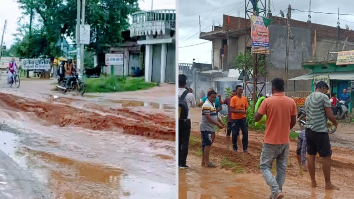 planting paddy on the road