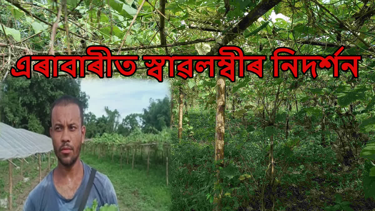 Farming in Dhemaji