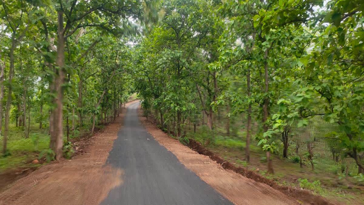 Savalhira To Yellapur Road