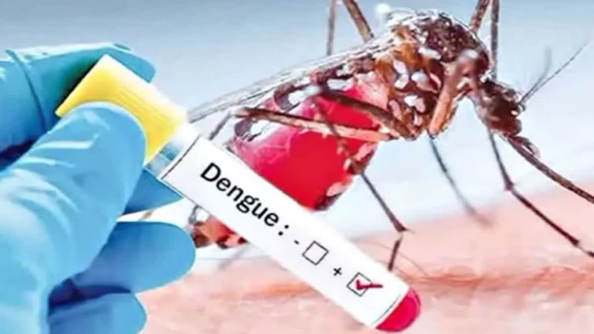 huge surge in dengue cases in odisha