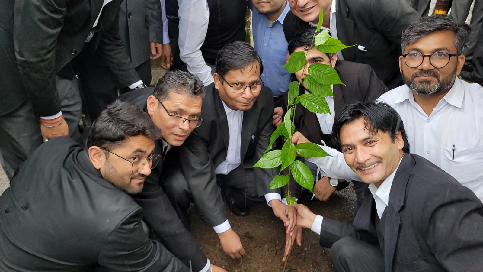 High Court judges planted saplings