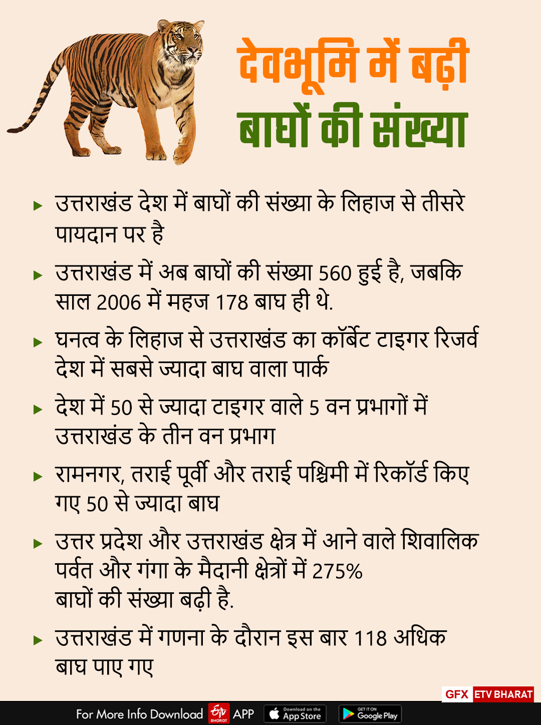 Conflict between tigers and humans