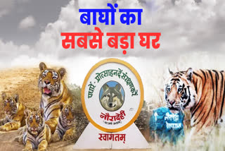 biggest tiger reserve of MP