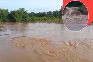 forty feet breaches in kujang