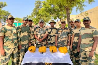 BSF seizes 4 packets containing heroin