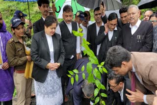 High Court judges planted saplings