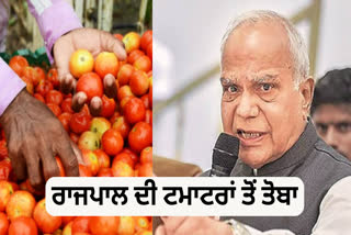 Tomato Consumption in Punjab Raj Bhawan