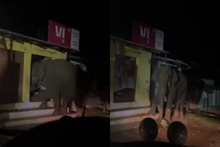 karnataka  wild elephant  wild animals  animal protection  Karnataka national highway  കാട്ടാന ശലൃം  കർണാടക  മൃഗസംരക്ഷണം  കർണാടക ദേശീയപാത  കാട്‌