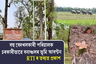 1301 encroached families allocated land in Sonitpur