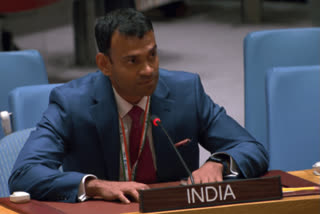 At UN, India tells Pakistan to concentrate on its own problems