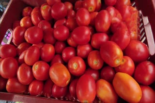 tomato-price-hike-india-punjab-governor-banwarilal-purohit-suspension-on-tomato-consumption