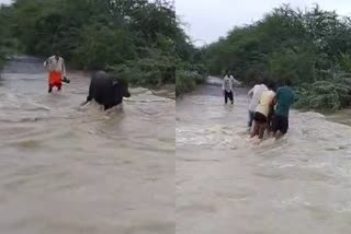 Heavy Rain In Datia