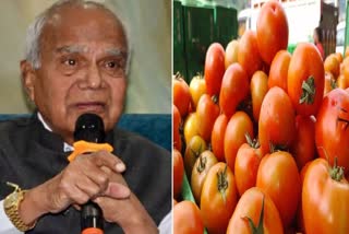 Tomatoes no more in Raj Bhawan menu, Punjab Governor bars it as prices soar