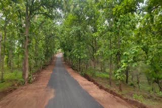 Savalhira To Yellapur Road
