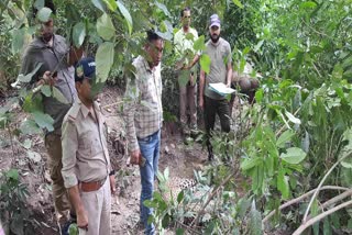 leopard died in barakoli range