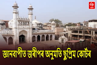 ASI Survey in Gyanvapi Masjid