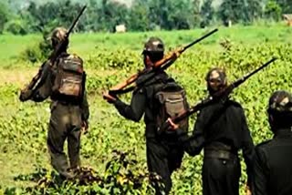 Naxalite couple surrendered