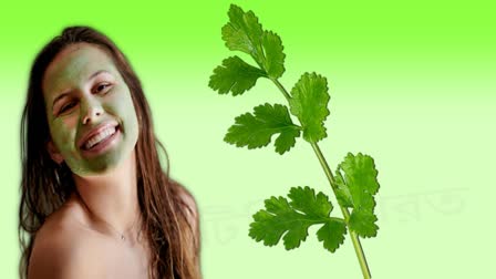 Coriander Leaves for Skin