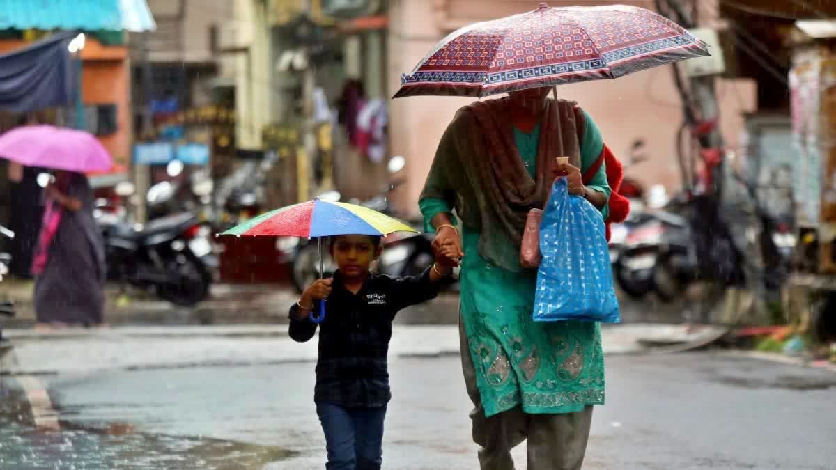 BLACK SEA WARNING  YELLOW ALERT DISTRICTS  മഴ മുന്നറിയിപ്പ്  KERALA RAIN WARNING