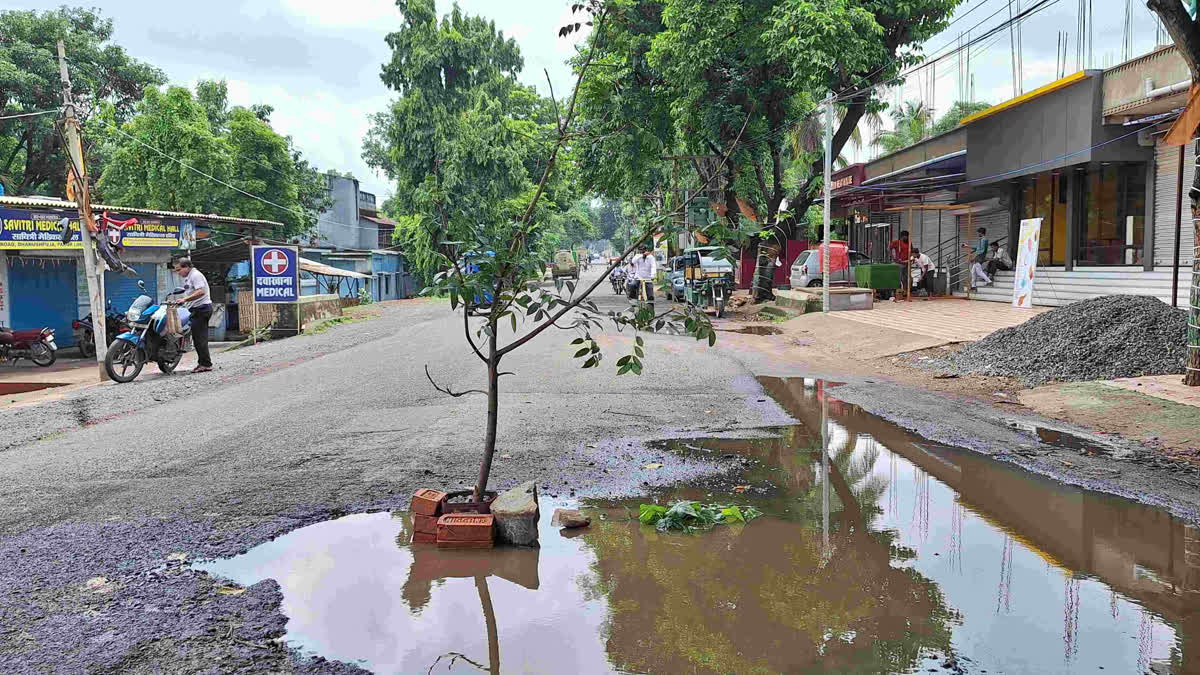 People planted trees on the National Highway in Pakur