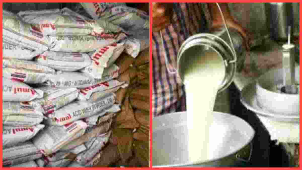 adulterated milk powder seized