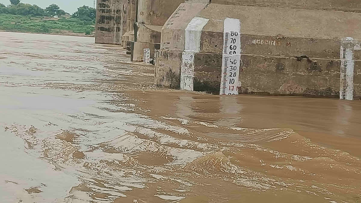 Chambal River water level Rising