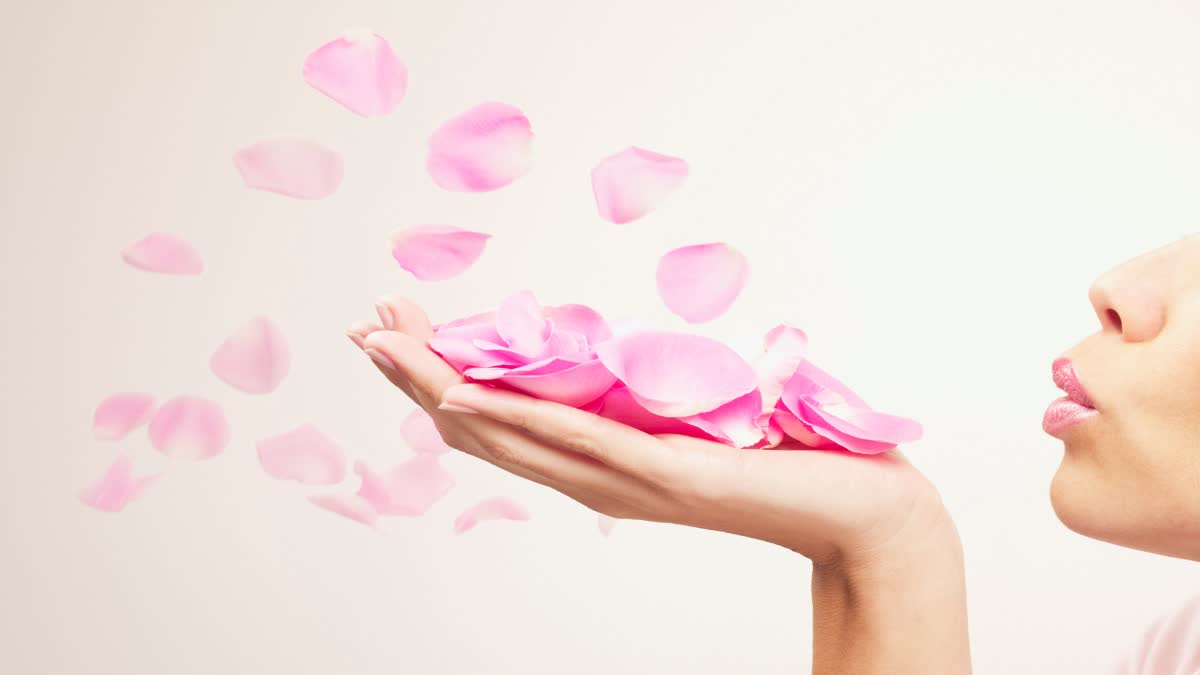 Benefits Of Rose Petals