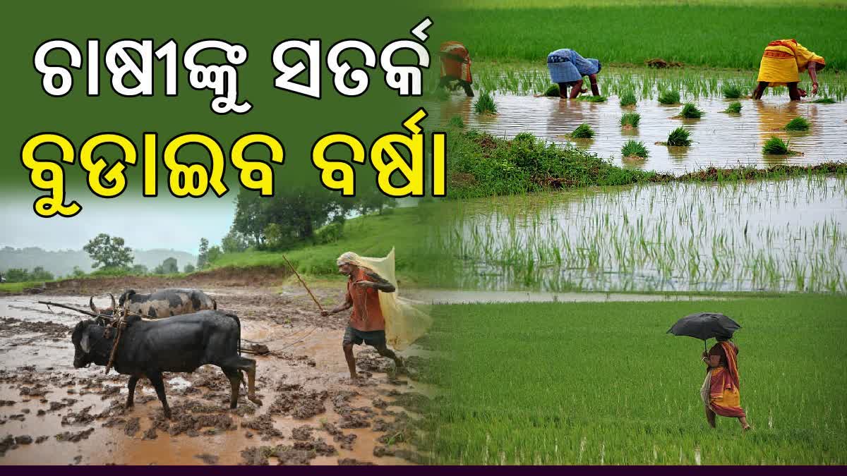 Odisha Rain Update