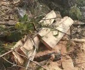 illegal Tree Cutting in Uttarakhand