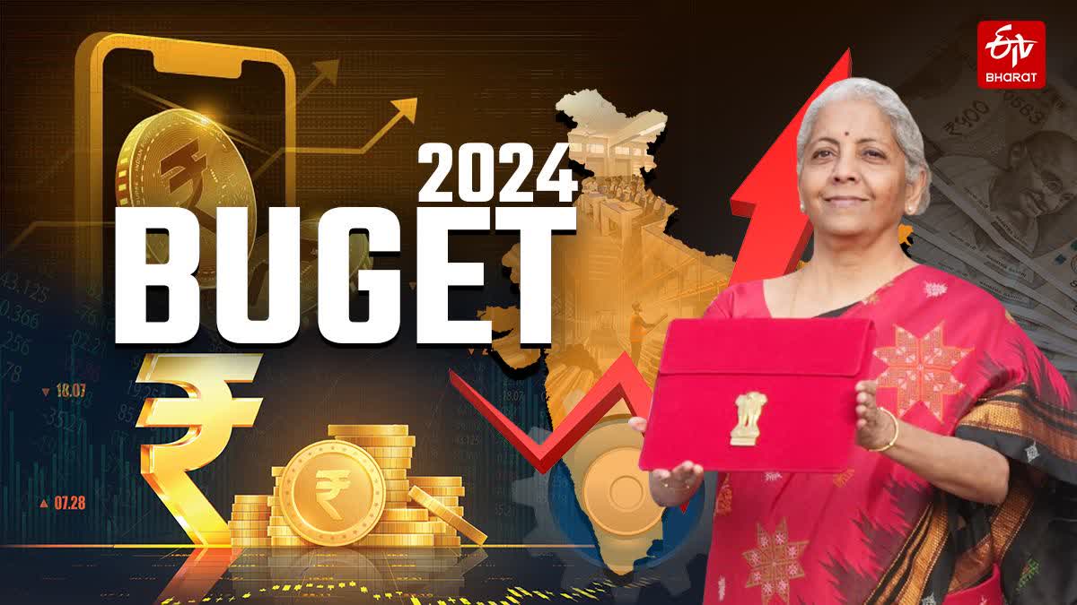 BUDGET FOCUS ON MSMES  FINANCE MINISTER NIRMALA SITHARAMAN  ECONOMIC SURVEY  ബജറ്റ്