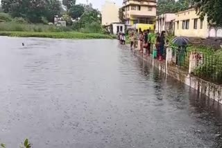 Manendragarh pond fish died