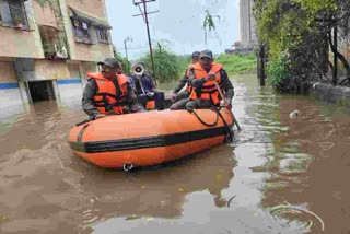 भारतीय सैन्य